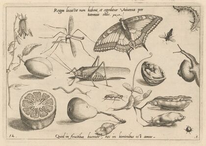 Archetypa studiaque patris Georgii Hoefnagelii Pl.04 (1592)
