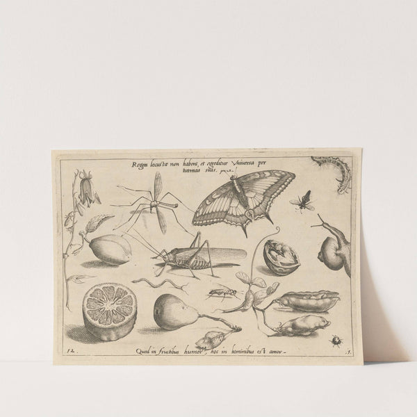 Archetypa studiaque patris Georgii Hoefnagelii Pl.04 (1592) by Joris Hoefnagel