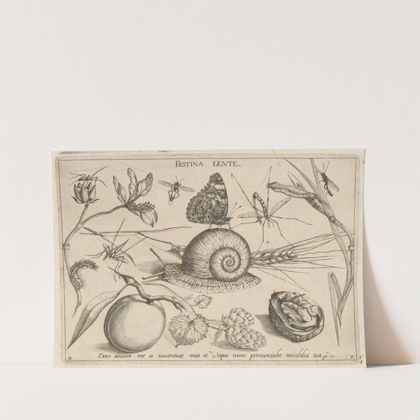 Archetypa studiaque patris Georgii Hoefnagelii Pl.05 (1592) by Joris Hoefnagel