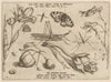 Archetypa studiaque patris Georgii Hoefnagelii Pl.07 (1592)
