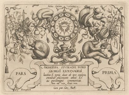 Archetypa studiaque patris Georgii Hoefnagelii Pl.12 (1592)
