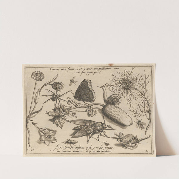 Archetypa studiaque patris Georgii Hoefnagelii Pl.15 (1592) by Joris Hoefnagel