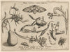Archetypa studiaque patris Georgii Hoefnagelii Pl.20 (1592)