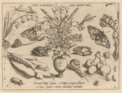 Archetypa studiaque patris Georgii Hoefnagelii Pl.21 (1592)