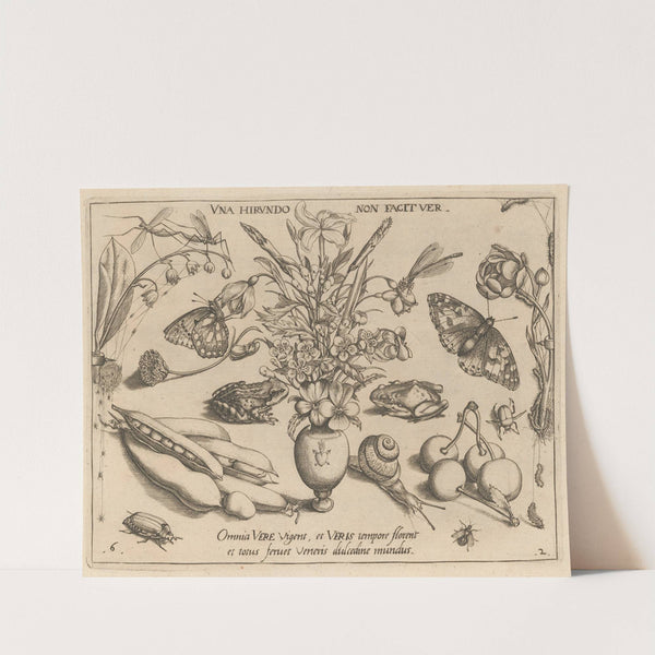 Archetypa studiaque patris Georgii Hoefnagelii Pl.21 (1592) by Joris Hoefnagel