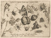 Archetypa studiaque patris Georgii Hoefnagelii Pl.28 (1592)