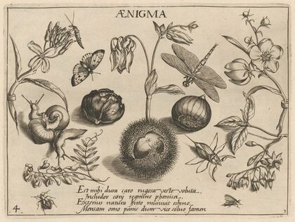 Archetypa studiaque patris Georgii Hoefnagelii Pl.32 (1592)