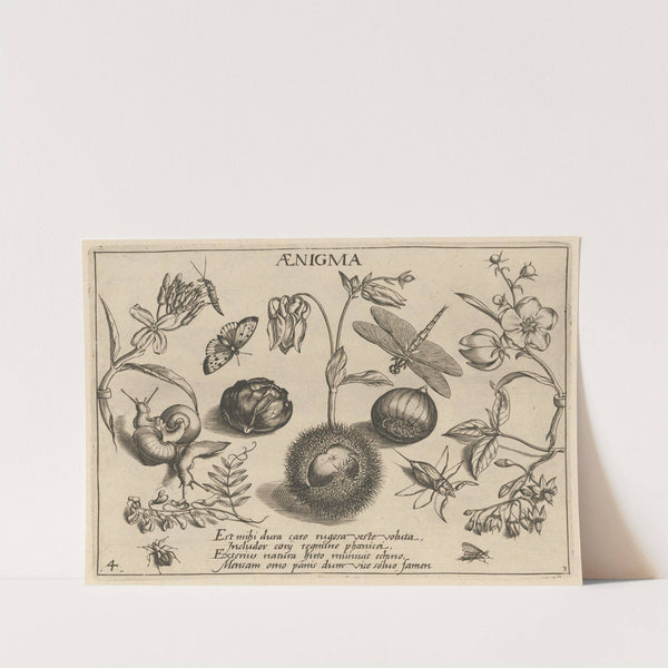 Archetypa studiaque patris Georgii Hoefnagelii Pl.32 (1592) by Joris Hoefnagel