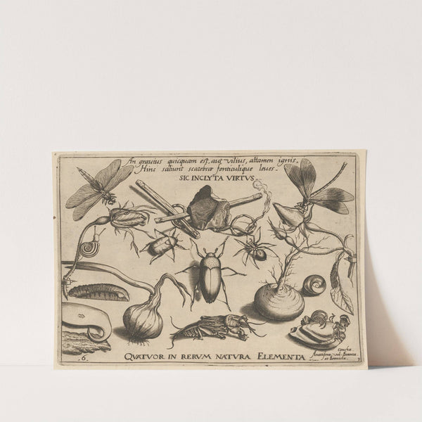 Archetypa studiaque patris Georgii Hoefnagelii Pl.34 (1592) by Joris Hoefnagel