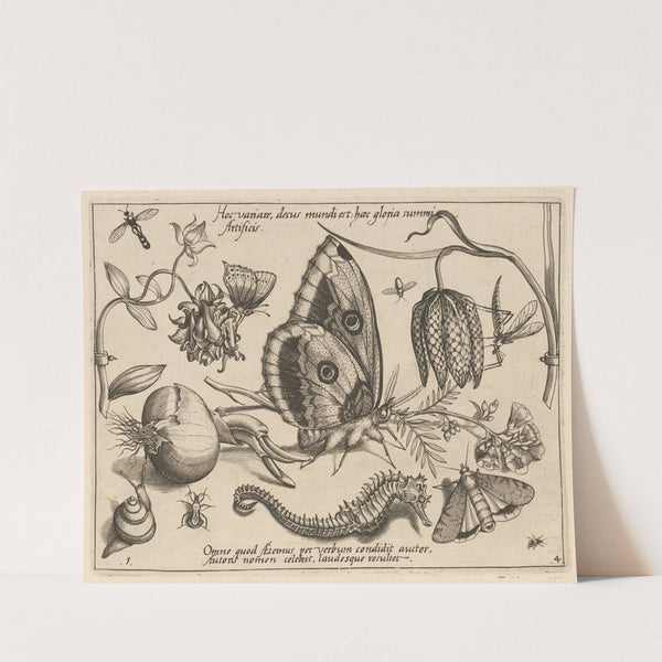 Archetypa studiaque patris Georgii Hoefnagelii Pl.39 (1592) by Joris Hoefnagel