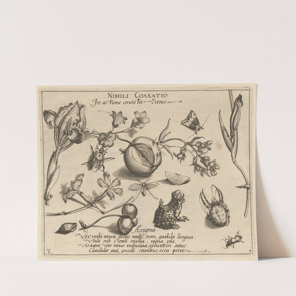 Archetypa studiaque patris Georgii Hoefnagelii Pl.44 (1592) by Joris Hoefnagel