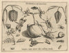 Archetypa studiaque patris Georgii Hoefnagelii Pl.45 (1592)