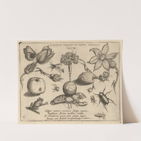 Archetypa studiaque patris Georgii Hoefnagelii Pl.47 (1592) by Joris Hoefnagel