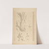 Architectural Motif; Double Acanthus Fleuron (ca. 1875) by Georges Seurat