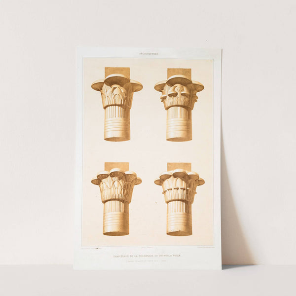 Architecture; chapiteaux de la colonnade du dromos, à Philæ (règnes d'Auguste de Tibère & de Claude) by Émile Prisse d'Avennes