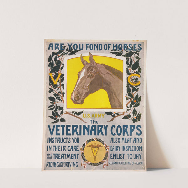 Are you fond of horses - U.S. Army - The Veterinary Corps instructs you in their care and treatment, riding and driving by Horst Schreck