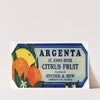 Argenta Citrus Fruit Label (1930-1950)