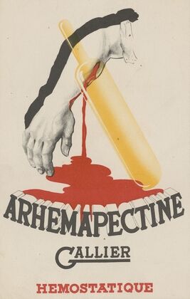Arhemapectine Gallier 3 (1910-1950)
