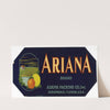 Ariana Brand Citrus Label (1930-1950)