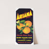 Ariana Brand Florida Citrus Fruit Label (1930-1950)