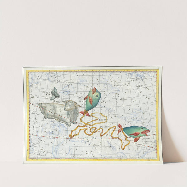 Aris, Piscis Borealis, Piscis Australis, Linum Piscium (1801) by Johann Elert Bode