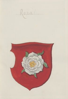 Arma Regni et baronum Poloniae ac M. D. Lithuaniae Pl.024 (1887)
