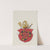 Arma Regni et baronum Poloniae ac M. D. Lithuaniae Pl.169 (1887) by Boleslaw Starzyński