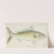 Arripis trutta (NZ) : Kahawai (1872) by Frank Edward Clarke