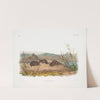 Arvicola borealis, Northern Meadow-Mouse. Natural size. (1845-1848) by John Woodhouse Audubon
