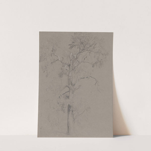 Ash Tree in Ashstead Park by Peter DeWint