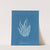 Asperococcus echinatus (1843-1853) by Anna Atkins