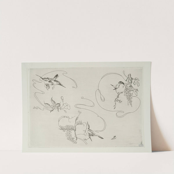 Assiette à dessert ; trois motifs composés chacun d’un ruban, d’une fleur et d’un oiseau (1866 - 1878) by Félix Bracquemond