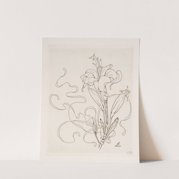 Assiette (lis). (1866 - 1878) by Félix Bracquemond