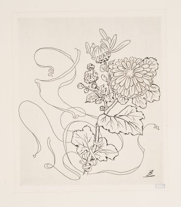 Assiette (reine-marguerite). (1866 - 1878) — size preview