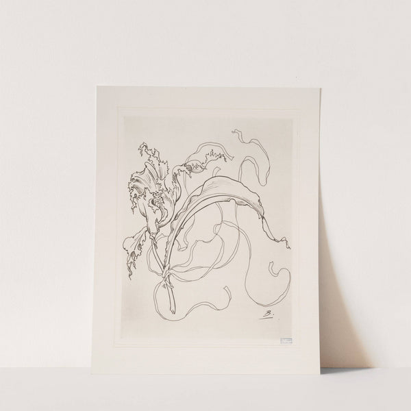 Assiette (tulipe). (1866 - 1878) by Félix Bracquemond