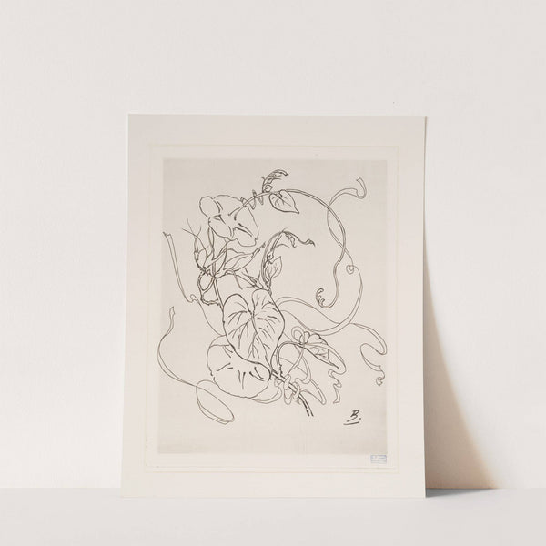 Assiette (volubilis). (1866 - 1878) by Félix Bracquemond