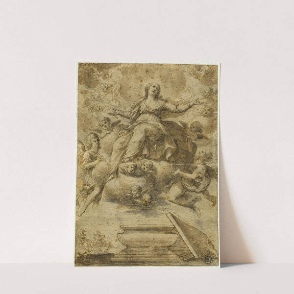 Assumption of the Virgin by School of Carlo Maratti