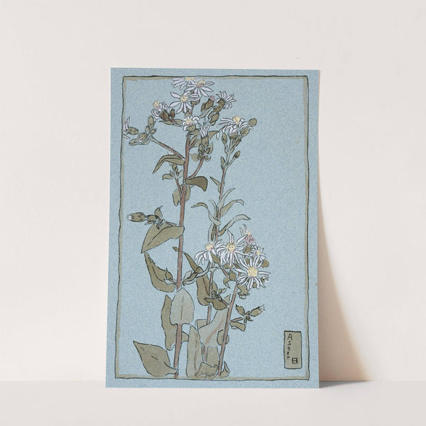 Aster on Green Ground by Hannah Borger Overbeck