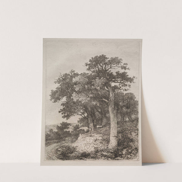 At Colney by John Crome