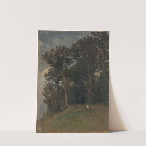 At the Edge of a Forest by Friedrich Carl von Scheidlin