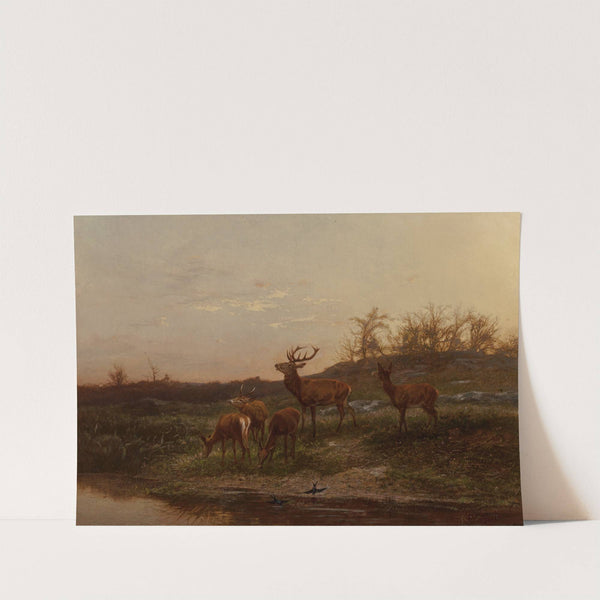 At the Watering Hole by Karl Bodmer