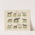 Atlas zoologiczny w 45 tablicach Pl.02 (1852) by D. E. Friedlein