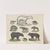 Atlas zoologiczny w 45 tablicach Pl.03 (1852) by D. E. Friedlein