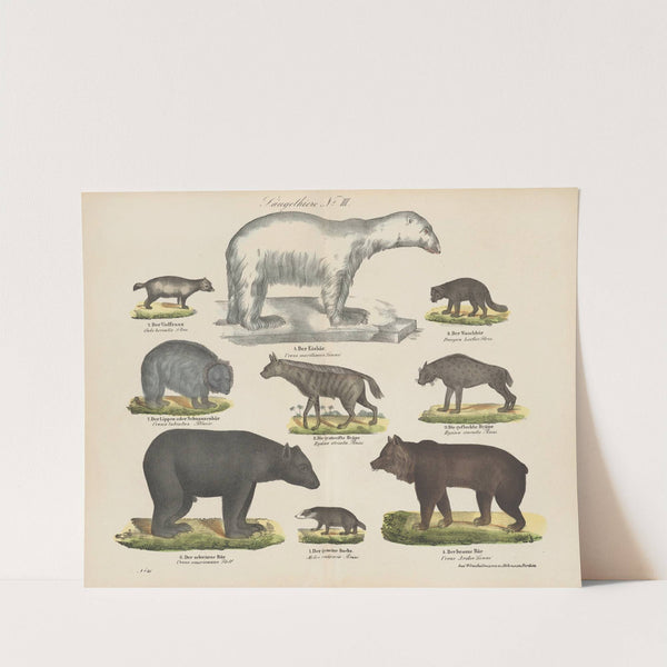 Atlas zoologiczny w 45 tablicach Pl.03 (1852) by D. E. Friedlein
