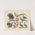 Atlas zoologiczny w 45 tablicach Pl.27 (1852) by D. E. Friedlein