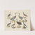 Atlas zoologiczny w 45 tablicach Pl.28 (1852) by D. E. Friedlein
