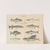 Atlas zoologiczny w 45 tablicach Pl.38 (1852) by D. E. Friedlein