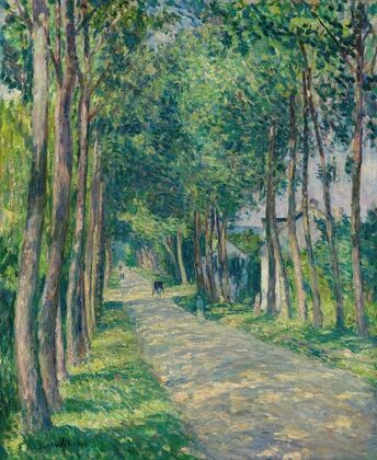 Attelage Sur Une Route Ensoleillée