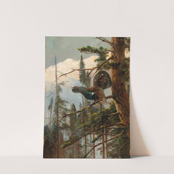 Auerhahn by Moritz Müller