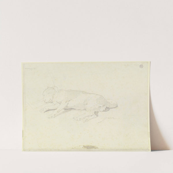 Auf der Seite liegender Hund by Ernst Fries